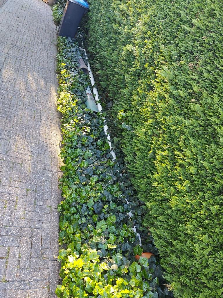 2 ijzeren palen, GRATIS, Ophalen of Verzenden, Gebruikt, 250 cm of meer, Palen