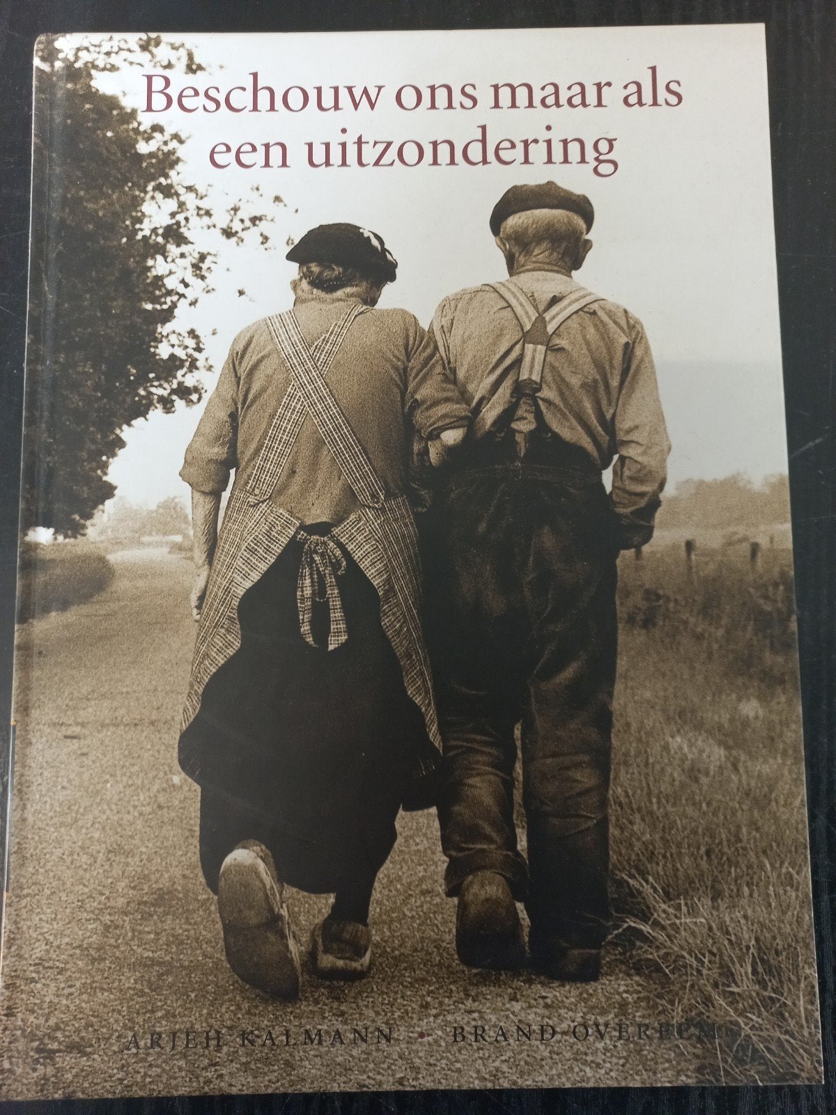 Beschouw ons maar als een uitzondering - Zo goed als nieuw, Ophalen of Verzenden, Zo goed als nieuw, Arjeh Kalmann