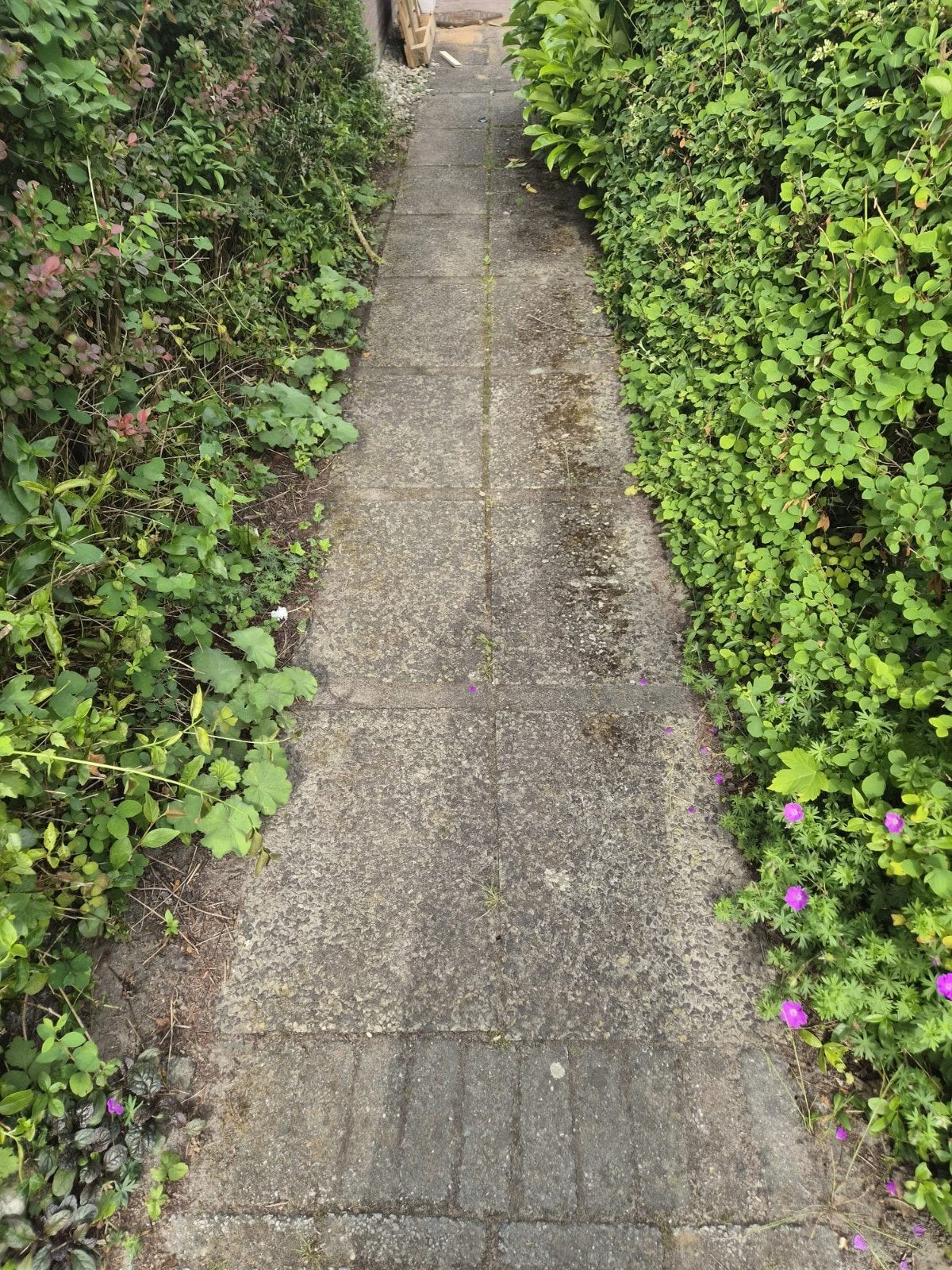 Gratis ophalen, Tuin en Terras, Tegels en Klinkers, Ophalen of Verzenden, Gebruikt, Beton, Terrastegels