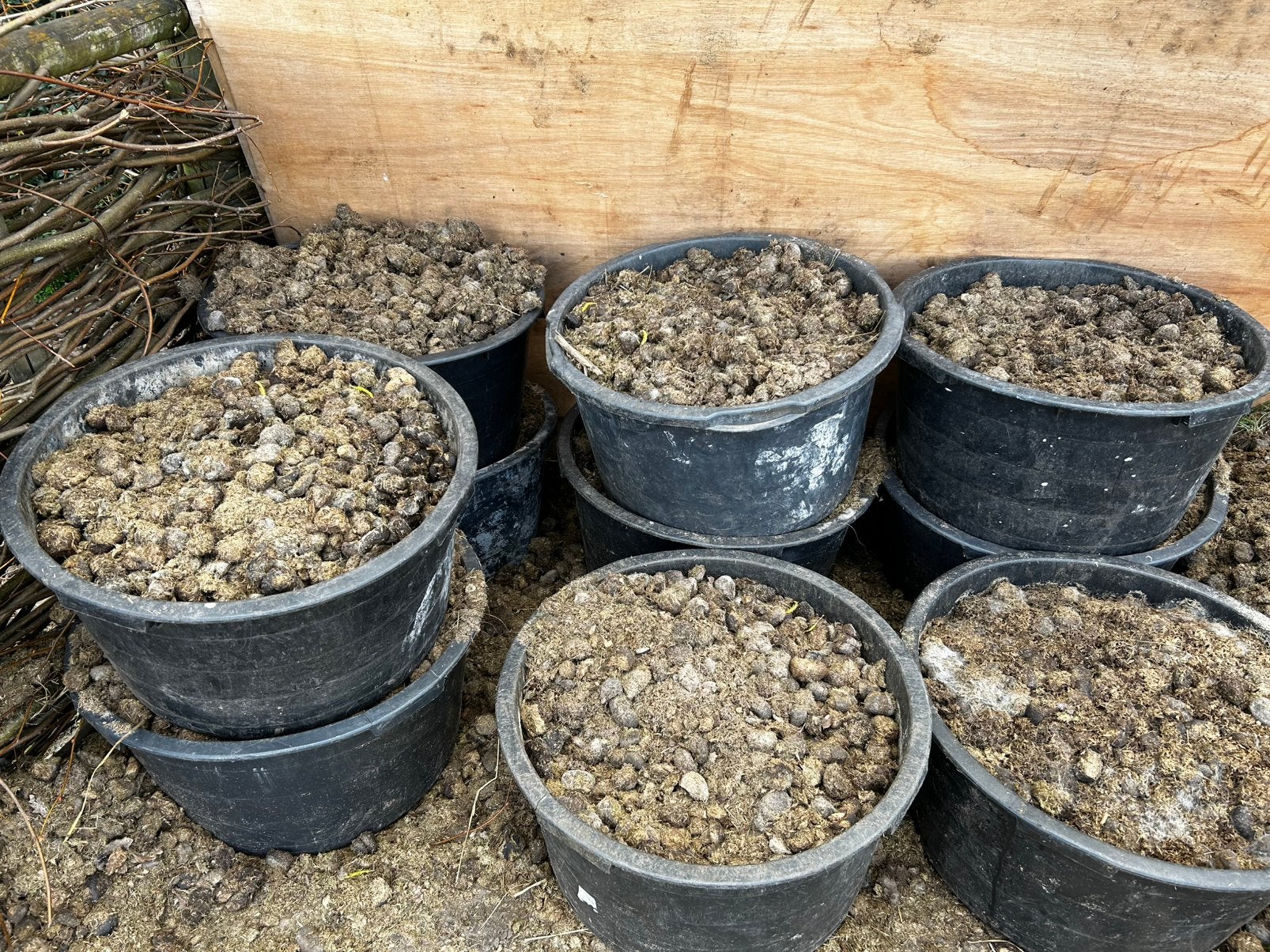 Gratis paarden mest, Tuin en Terras, Ophalen, Mest
