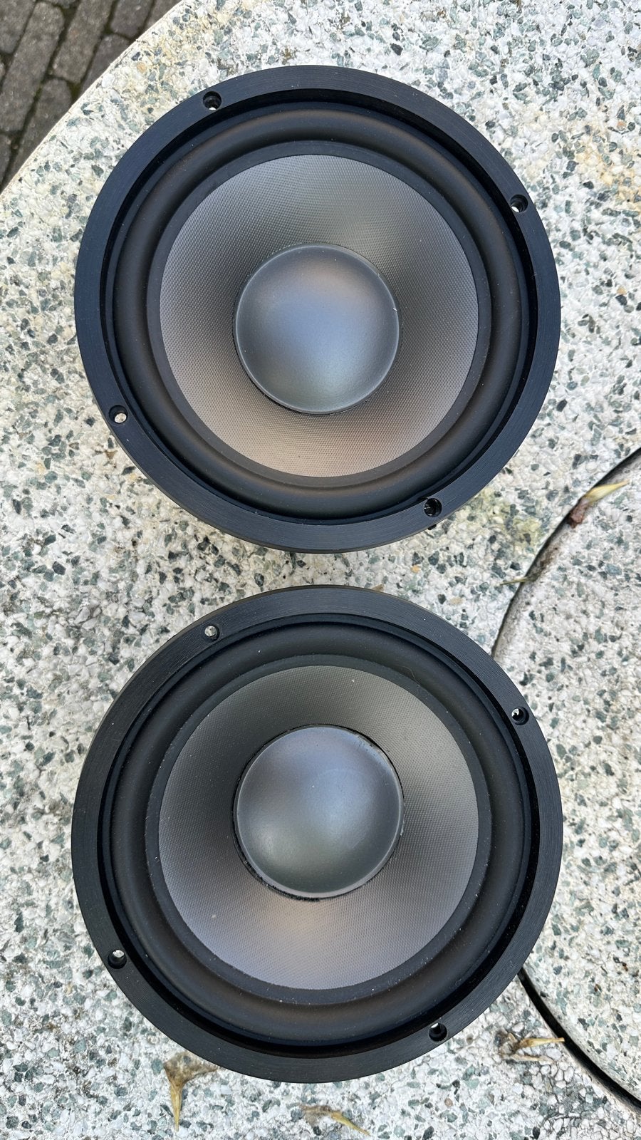 Visaton WSP 21 S Woofers - Set van 2, Ophalen, Gebruikt, Overige typen, Overige merken