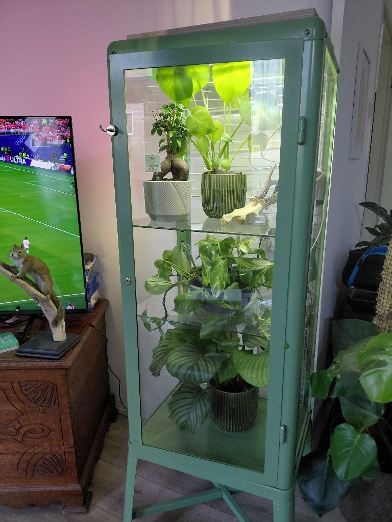FABRIKÖR Ikea Vitrinekast, Ophalen, 50 tot 100 cm, Zo goed als nieuw, Glas