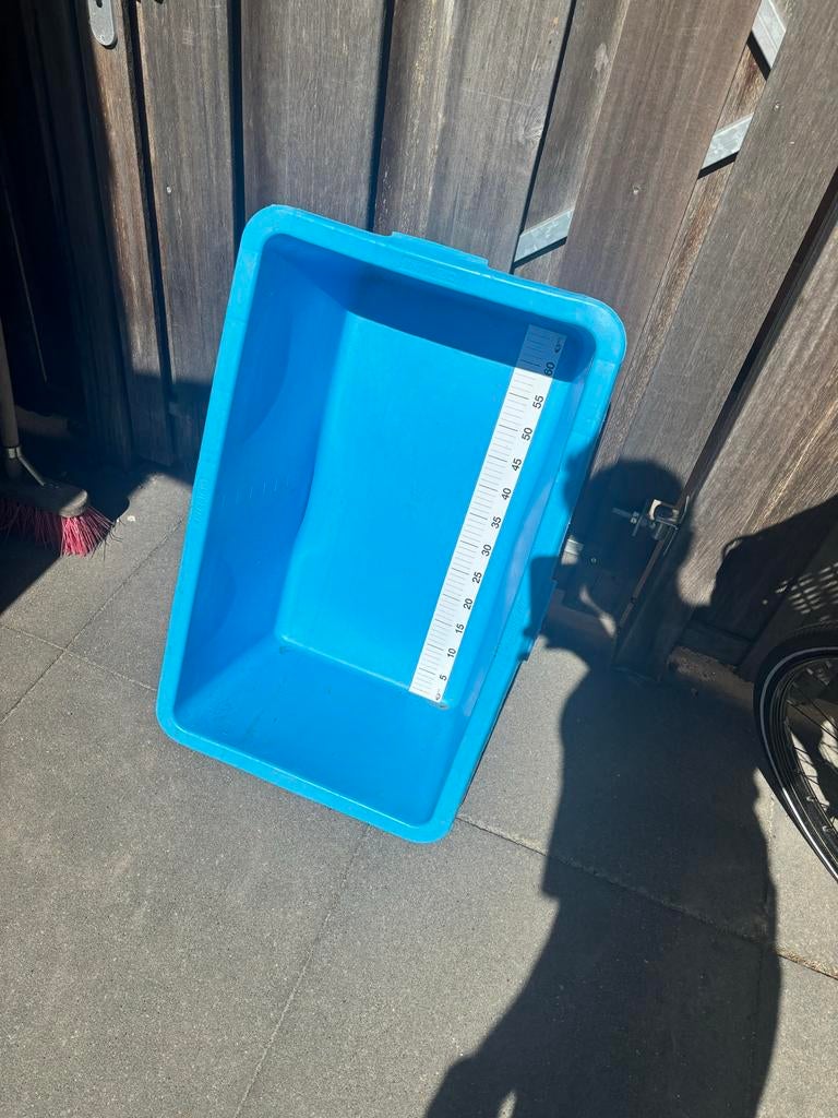 Blauwe koi meetbak 60cm, Karper of Koi