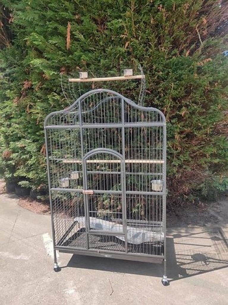 Galerita papegaaienkooi, Dieren en Toebehoren, Vogels | Hokken en Kooien, Ophalen of Verzenden, Nieuw, Metaal, Vogelkooi
