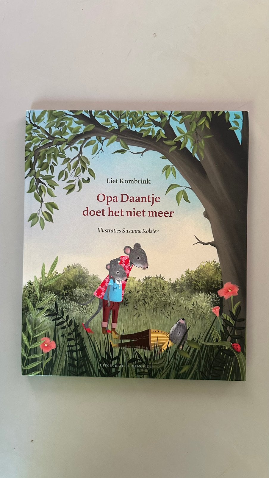 Liet Kombrink - Opa Daantje doet het niet meer - Hardcover, Boeken, Fictie algemeen, Ophalen of Verzenden, Liet Kombrink, Nieuw