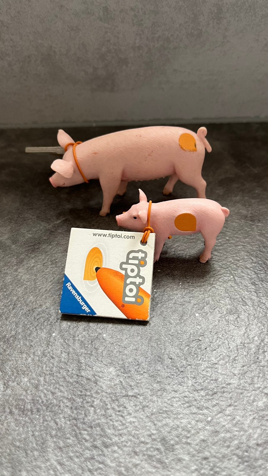 Tiptoi dieren Varkens, Ophalen of Verzenden, Zo goed als nieuw, Ontdekken