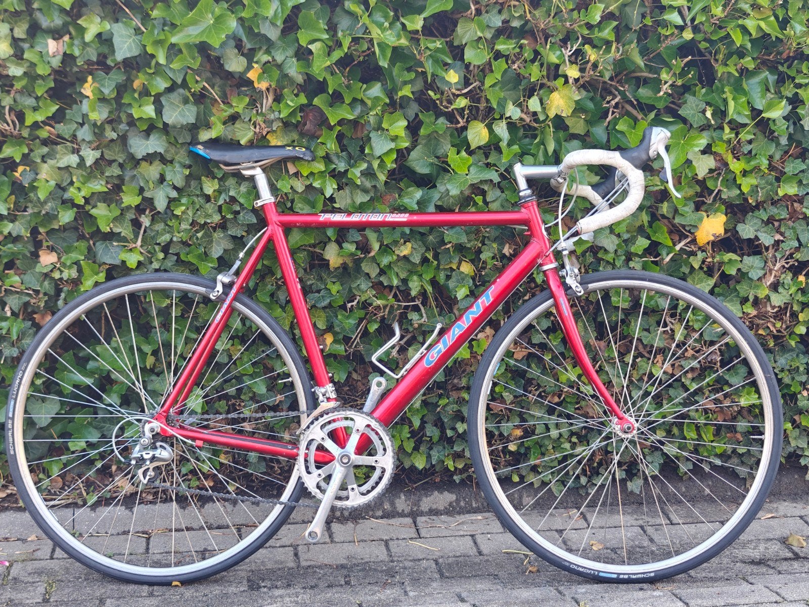 Giant Racefiets, Fietsen en Brommers, Ophalen, 28 inch, Gebruikt, 10 tot 15 versnellingen