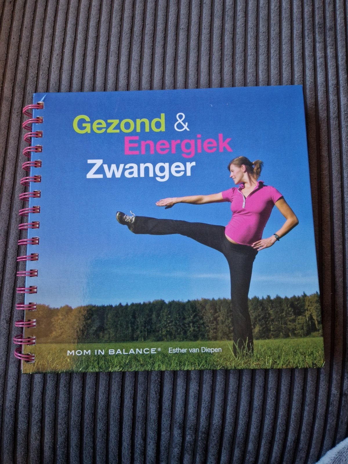 Gezond & Energiek Zwanger - Zwangerschapsdagboek, Ophalen of Verzenden, Zo goed als nieuw, Zwangerschap en Bevalling, Esther van Diepen