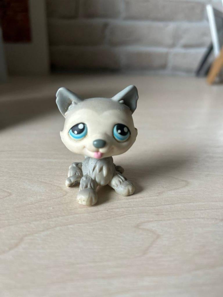 Littlest Pet Shop (LPS) Husky #070 2005, Ophalen, Gebruikt