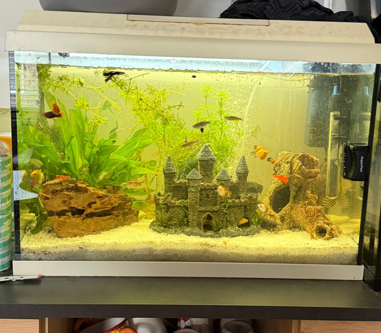 Juwel Aquarium 70 liter, Verwarming, Ophalen of Verzenden, Zo goed als nieuw, Leeg aquarium