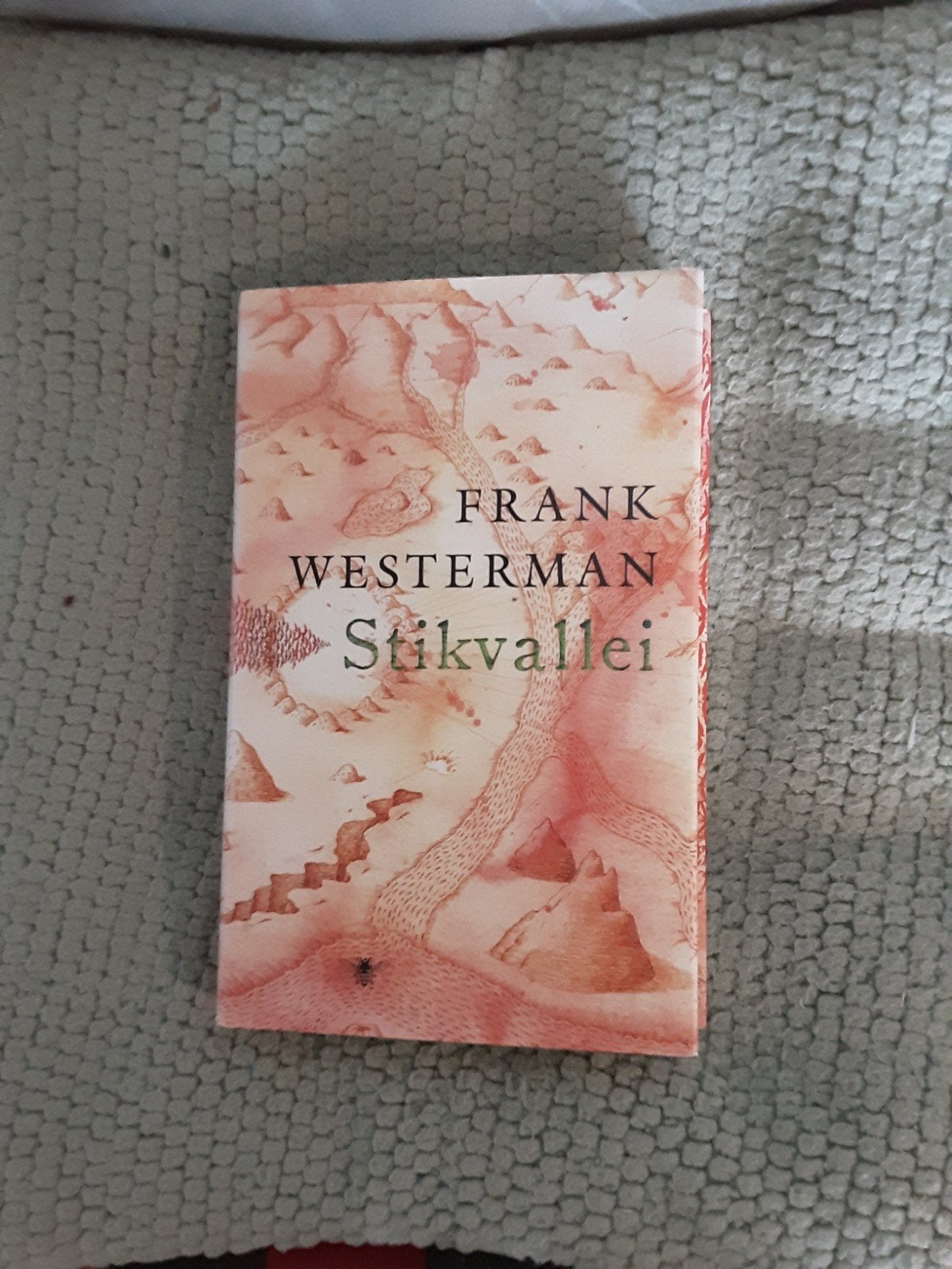 Frank Westerman----Stikvallei, Ophalen of Verzenden, Zo goed als nieuw, Frank Westerman, Nederland
