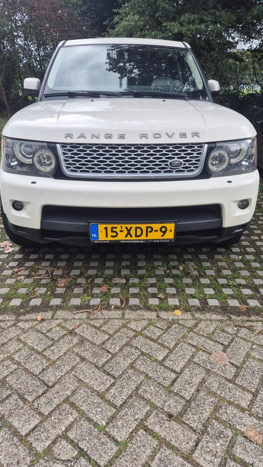 Land Rover Range Rover (sport) 3.0 TD V6 AUT 2010 Wit, Automaat, 313 €/maand, 2993 cc, Wit