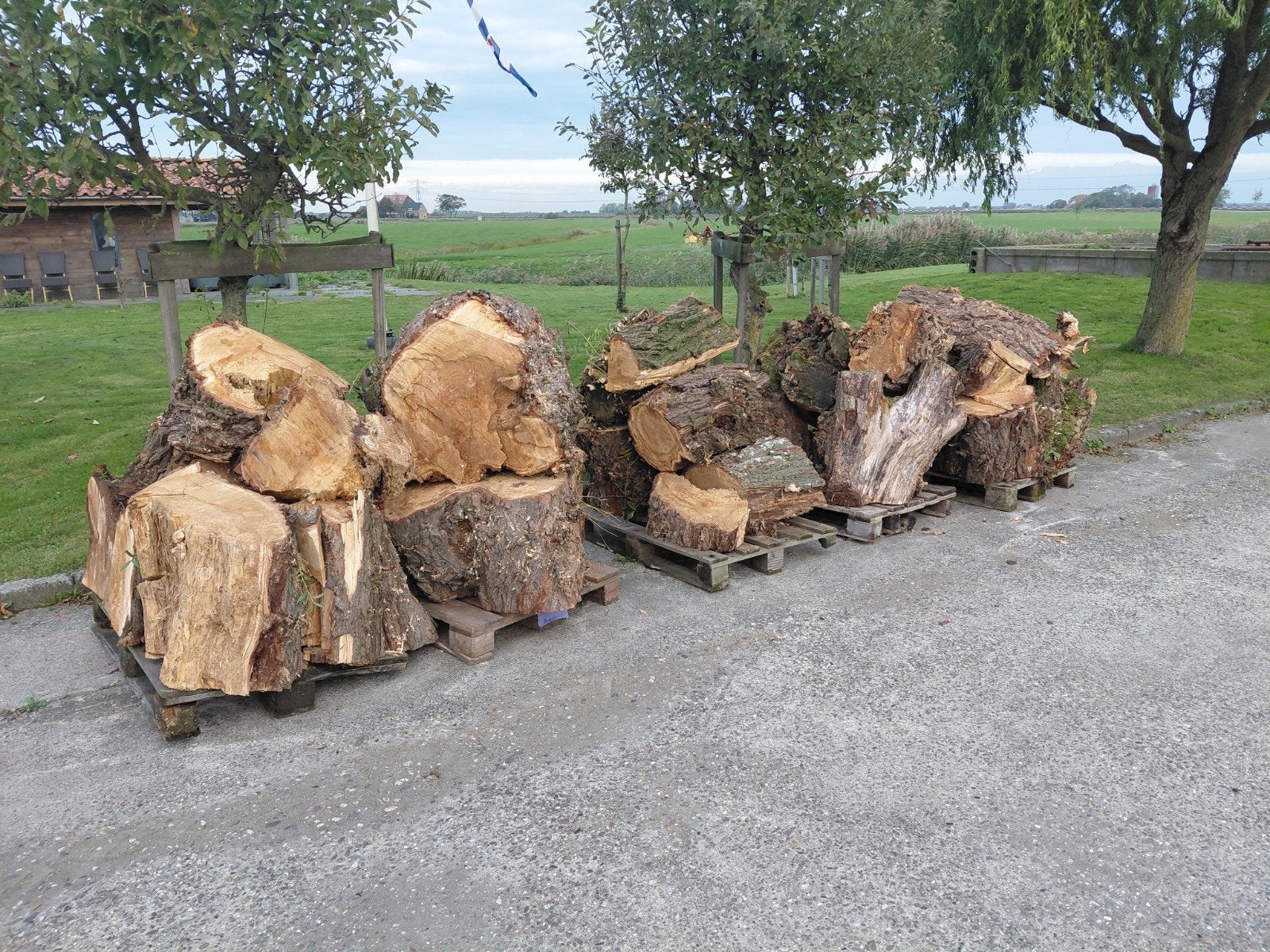 Haardhout, Tuin en Terras, Minder dan 3 m³, Ophalen