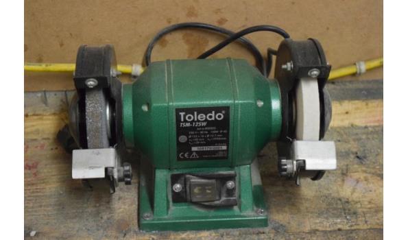 Toledo TSM-125W Slijpmachine - 120W Werkbankslijper, Doe-het-zelf en Verbouw, Gereedschap | Slijpmachines, Ophalen, Zo goed als nieuw