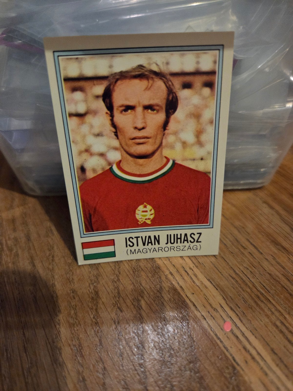Panini WK 74, Ophalen of Verzenden, Zo goed als nieuw, Buitenlandse clubs, Poster, Plaatje of Sticker