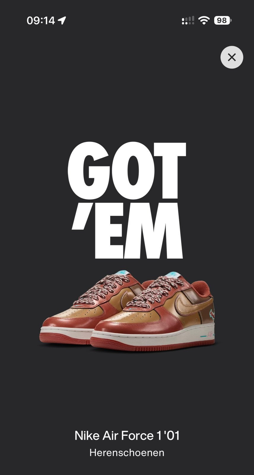 NIGO x J-Hope x Nike Air Force 1 '01 Burnt Sunrise, Ophalen of Verzenden, Nieuw, Bruin, Sneakers of Gympen