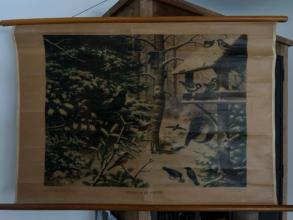 Vogels in de winter, Antiek en Kunst, Ophalen of Verzenden, Natuur en Biologie