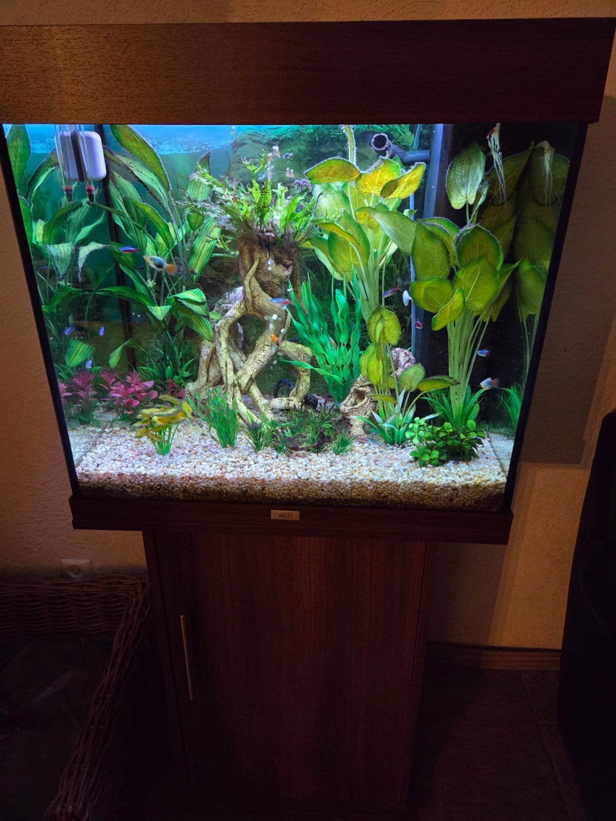 Nette juwel 125 incl alles, Ophalen, Zo goed als nieuw, Gevuld zoetwateraquarium