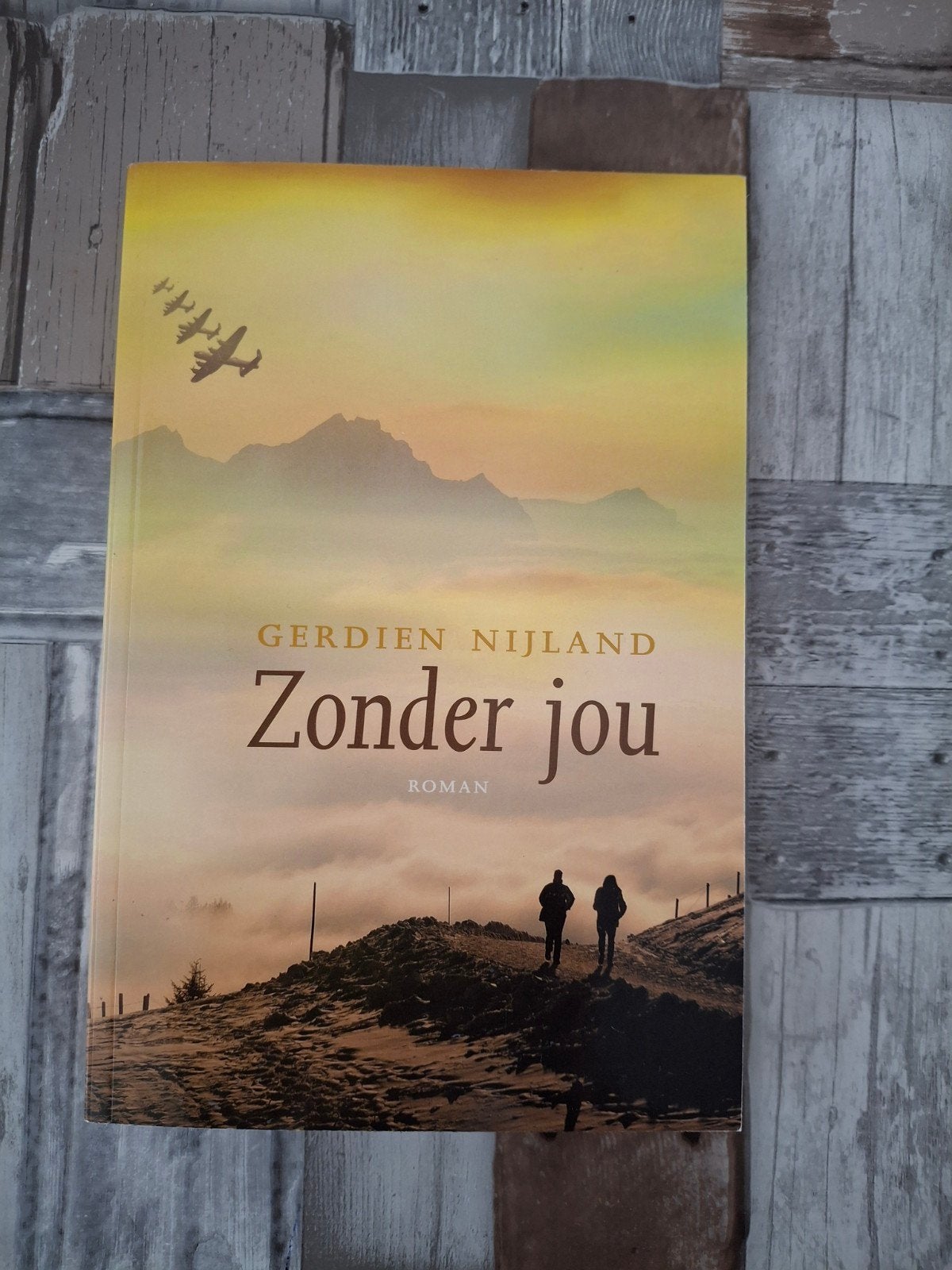 Gerdien Nijland - Zonder jou, Ophalen of Verzenden, Zo goed als nieuw, Gerdien Nijland