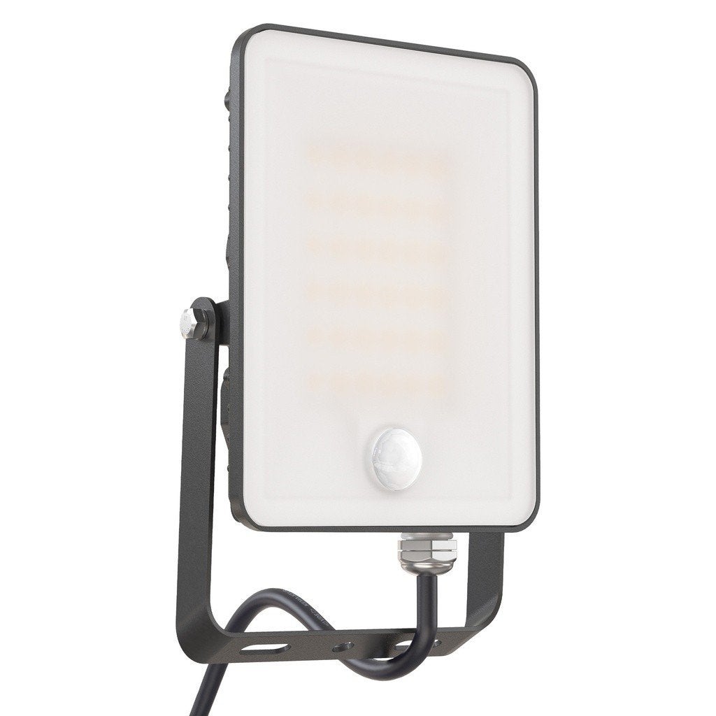 LED Schijnwerper met bewegingssensor 20W 230V, Verzenden