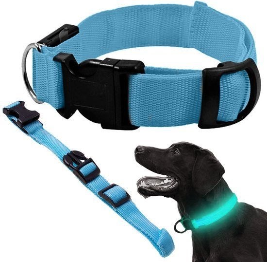 Led Halsband Hond - Blauw-3 Standen - Verstelbaar 36 - 59 cm, Verlicht, 7604 HH, Nieuw, Ophalen of Verzenden