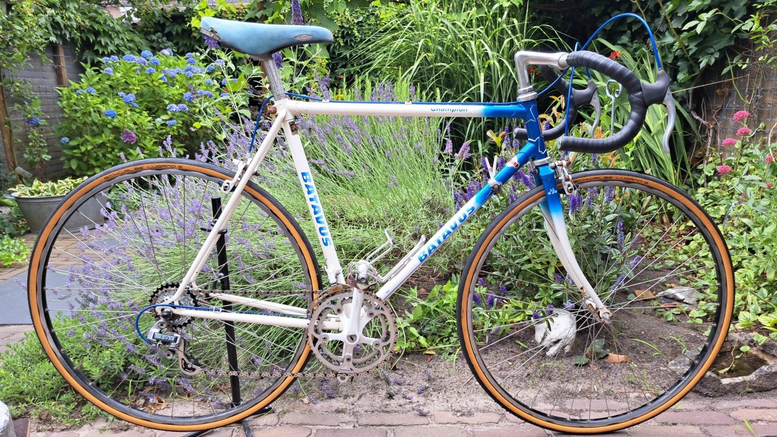 Batavus Champion Retro Racefiets Jaren '80 - Zo Goed als Nie, Fietsen en Brommers, Fietsen | Racefietsen, Ophalen, 28 inch, Gebruikt
