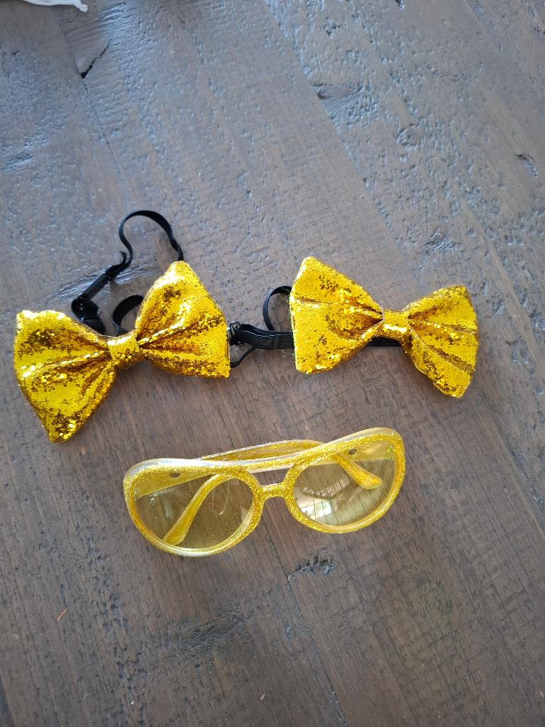 Foute party set goud glitter – strikjes & bril, Kleding | Dames, Carnavalskleding en Feestkleding, Ophalen of Verzenden, Zo goed als nieuw