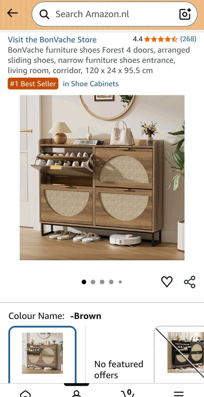 Schoenenkast t.w.v. €190 – ideaal opknapproject- BonVache fu, Ophalen