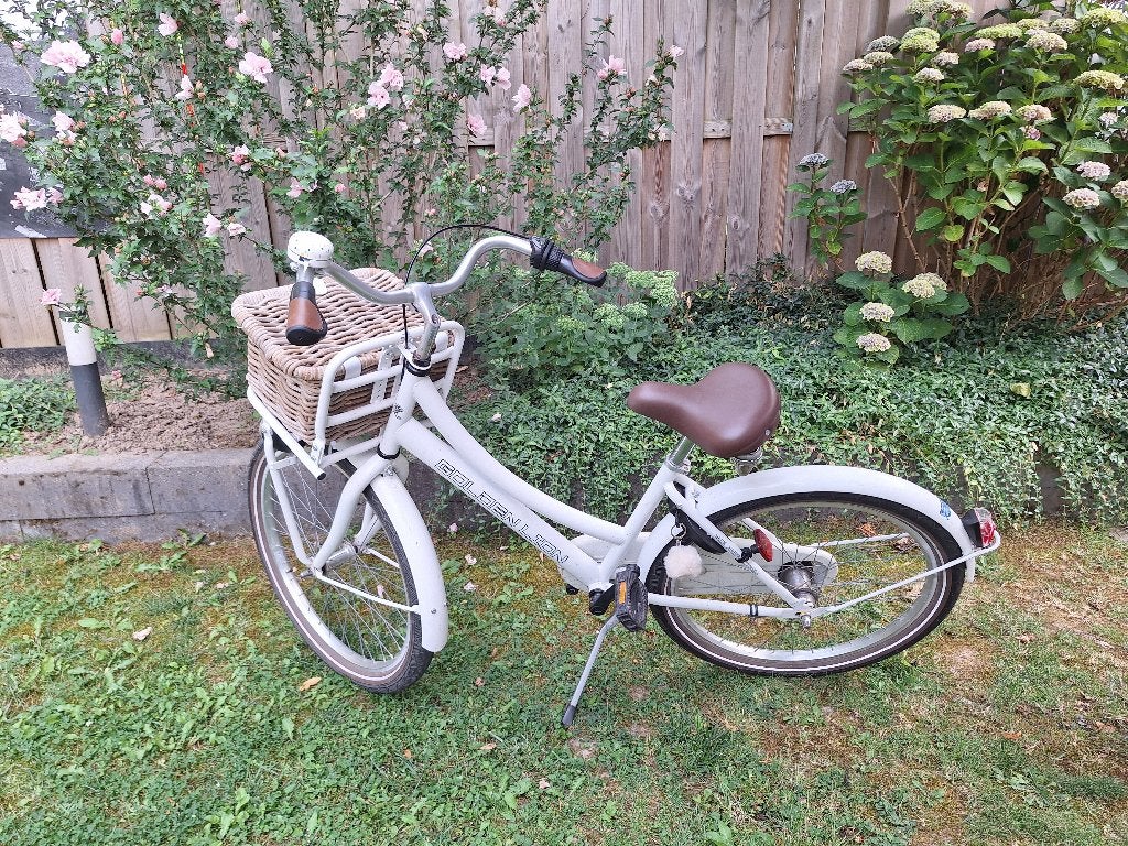 Goed onderhouden 22 inch fiets met 3 versnellingen, Ophalen, Terugtraprem, 22 inch, Gebruikt