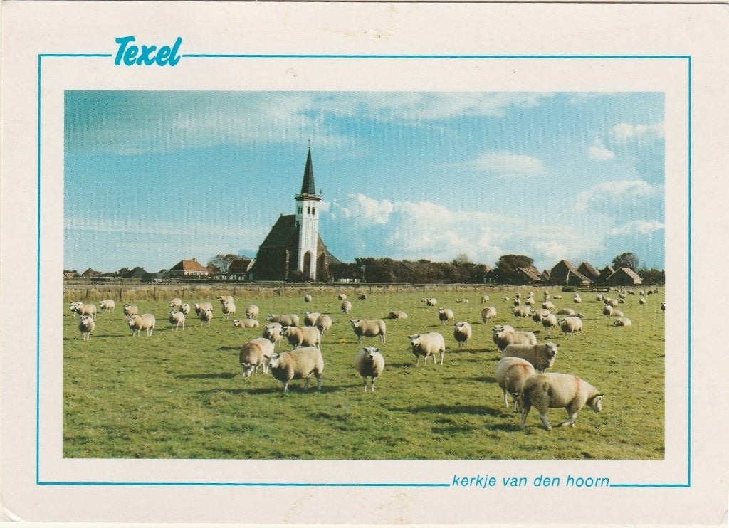 DEN HOORN Kerkje met Schapen, Verzenden, 1980 tot heden, Gelopen, Waddeneilanden