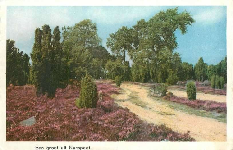 380-873-003 Nunspeet, Verzenden, Voor 1920, Gelderland