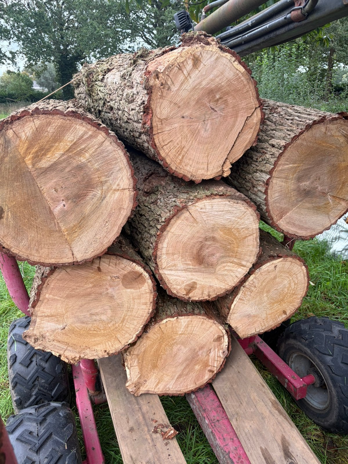 Partij Eiken stammen, Tuin en Terras, Minder dan 3 m³, Ophalen, Eikenhout, Stammen