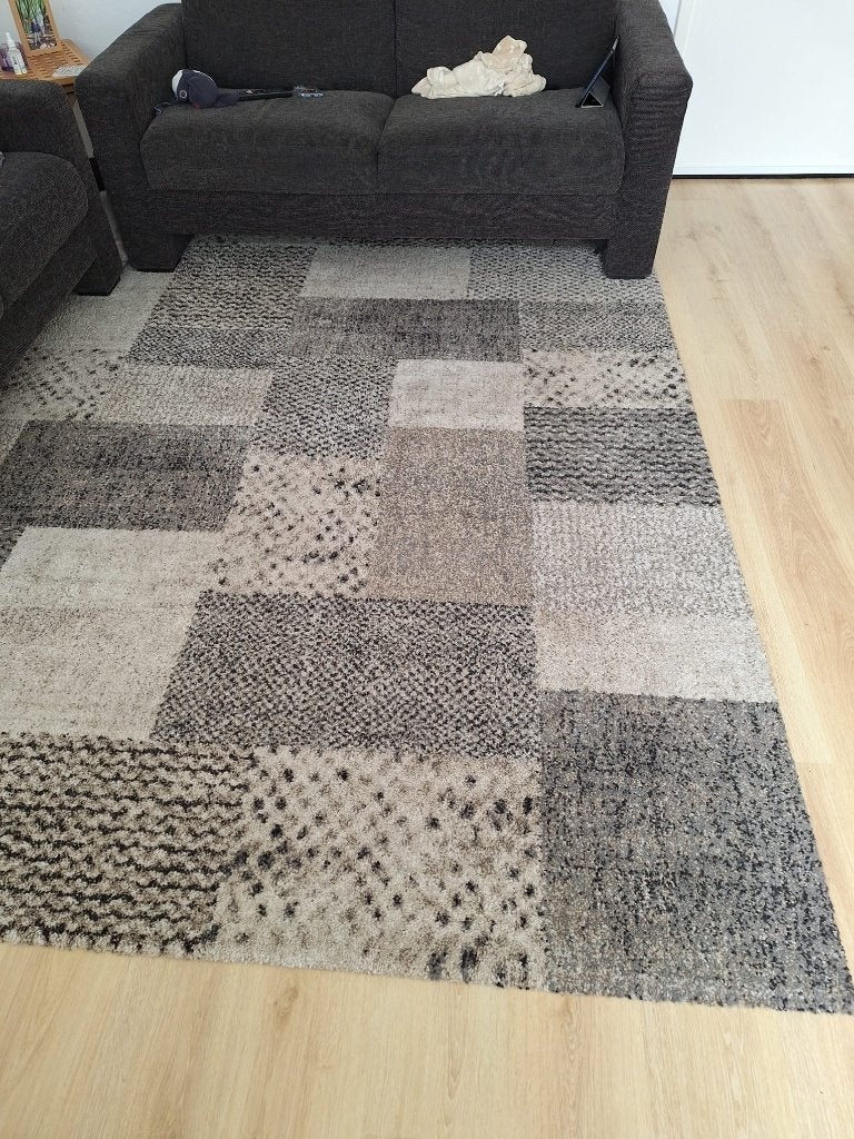 vloerkleed Padroni 200 X 290, Ophalen, Gebruikt, Beige, 200 cm of meer