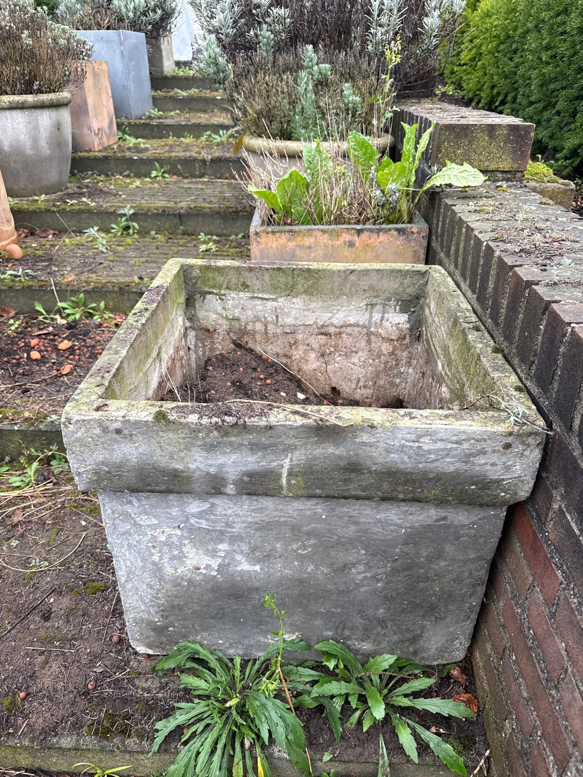 Grote betonnen plantenbak voor tuin of terras, Ophalen, Gebruikt, Vierkant, 60 tot 100 cm