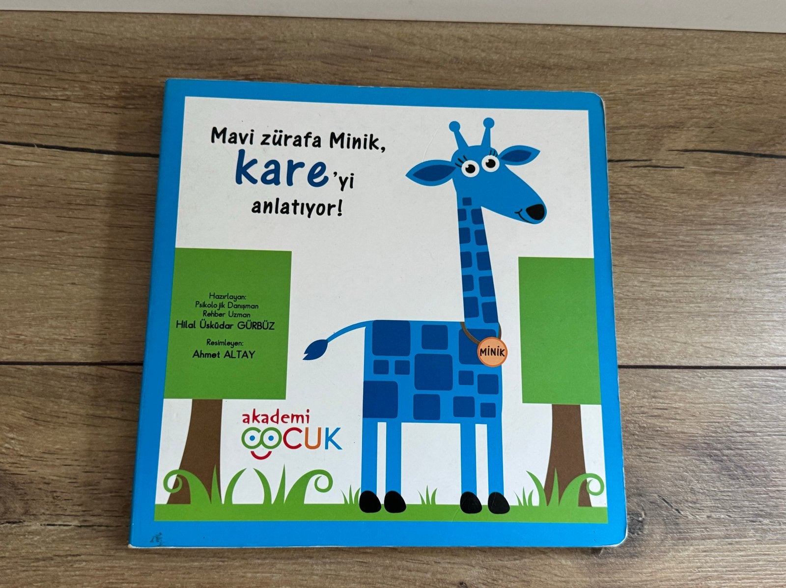 Turks kinderleesboek: Mavi zürafa Minik, kare'yi anlatıyor!, Gelezen, Fictie algemeen, Jongen of Meisje, Ophalen of Verzenden