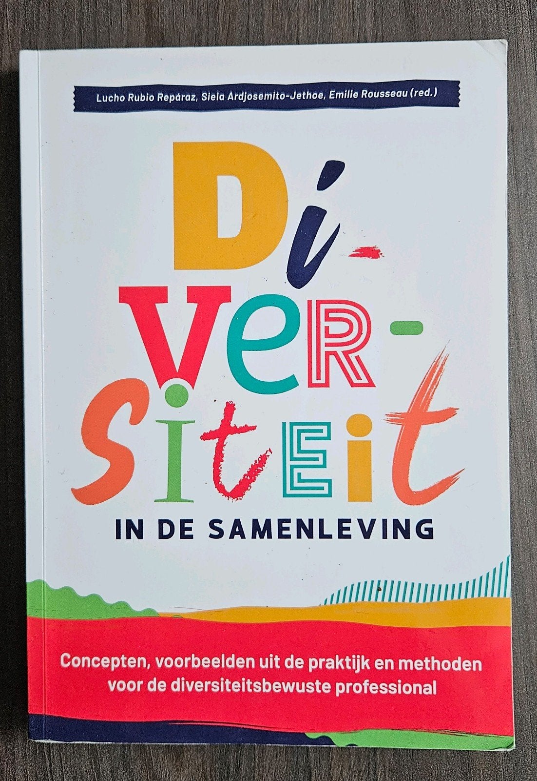 Diversiteit in de Samenleving - Concepten & Methoden, Ophalen of Verzenden, Zo goed als nieuw, Nederland, Lucho Rubio Repároz, Siela Ardjosemito-Jethoe, Emilie Rousseau