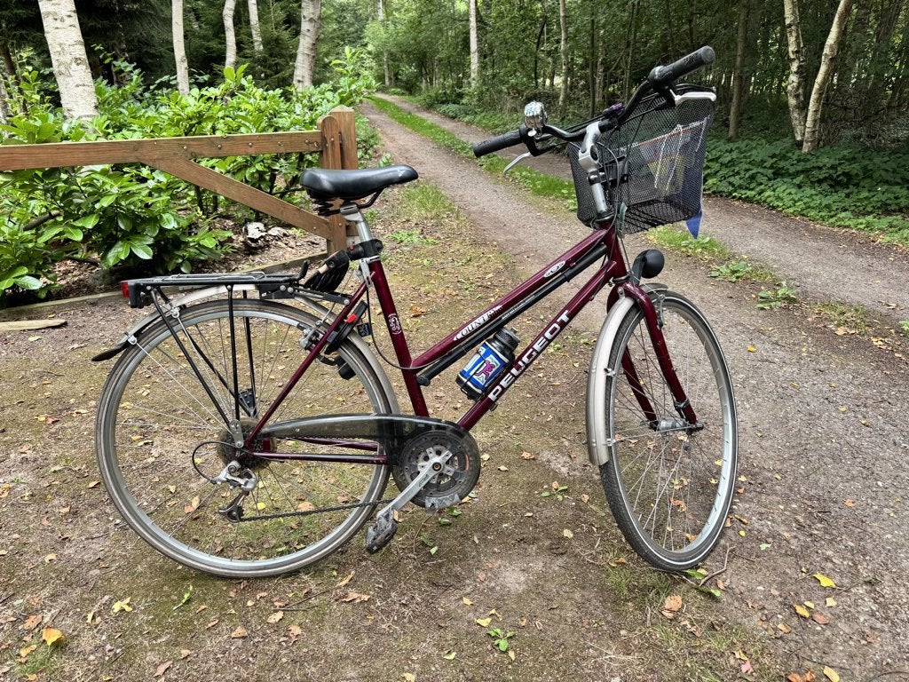 Damesfiets merk Peugeot, Fietsen en Brommers, Gebruikt, Velgrem, Versnellingen, 50 tot 53 cm