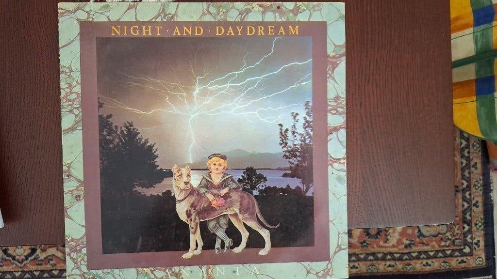 Night and Day Dreams LP, Ophalen of Verzenden, Zo goed als nieuw, LP