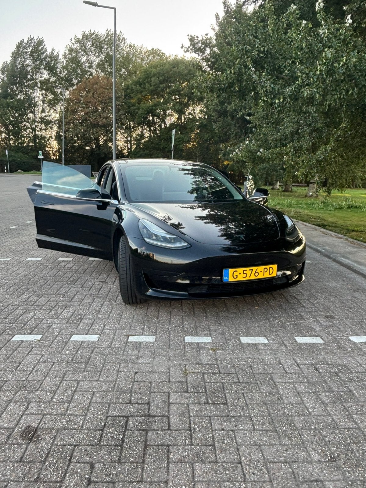 Tesla Model 3 2019 Zwart Standaard
