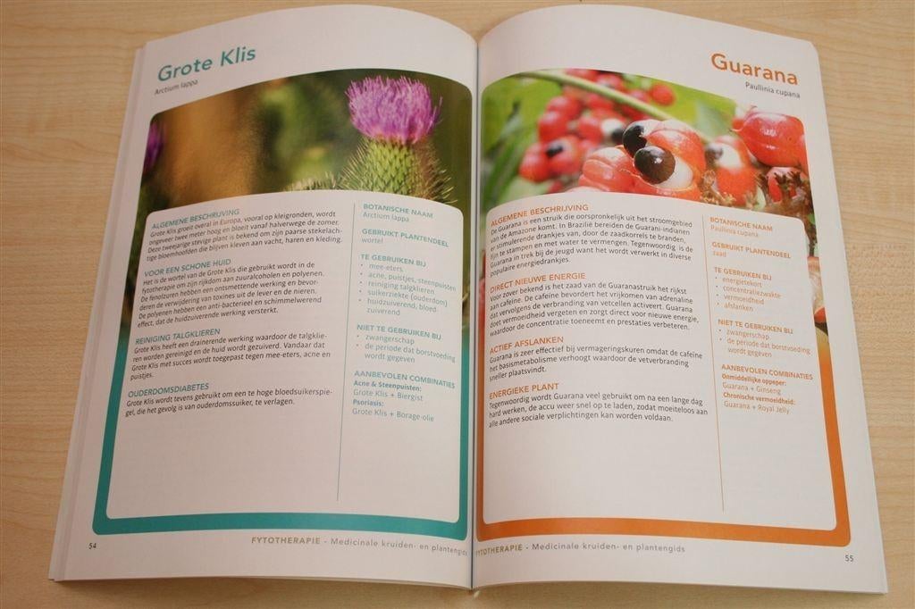 Fytotherapie — Gids voor Geneeskrachtige Kruiden & Planten, Ophalen of Verzenden, Gelezen, Overige onderwerpen, Achtergrond en Informatie