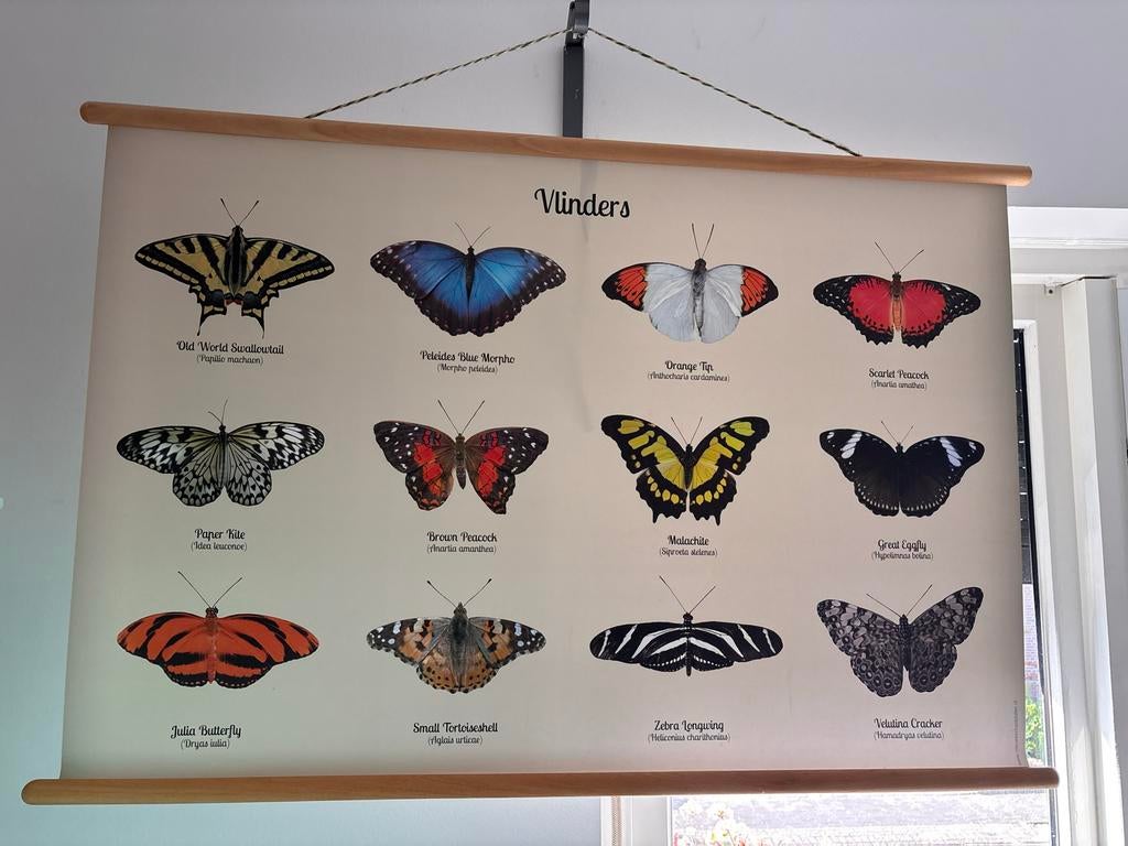 Vintage Vlinder Wandkleed - Educatieve Poster, Gebruikt, Ophalen of Verzenden, Met ophangsysteem, Meerkleurig
