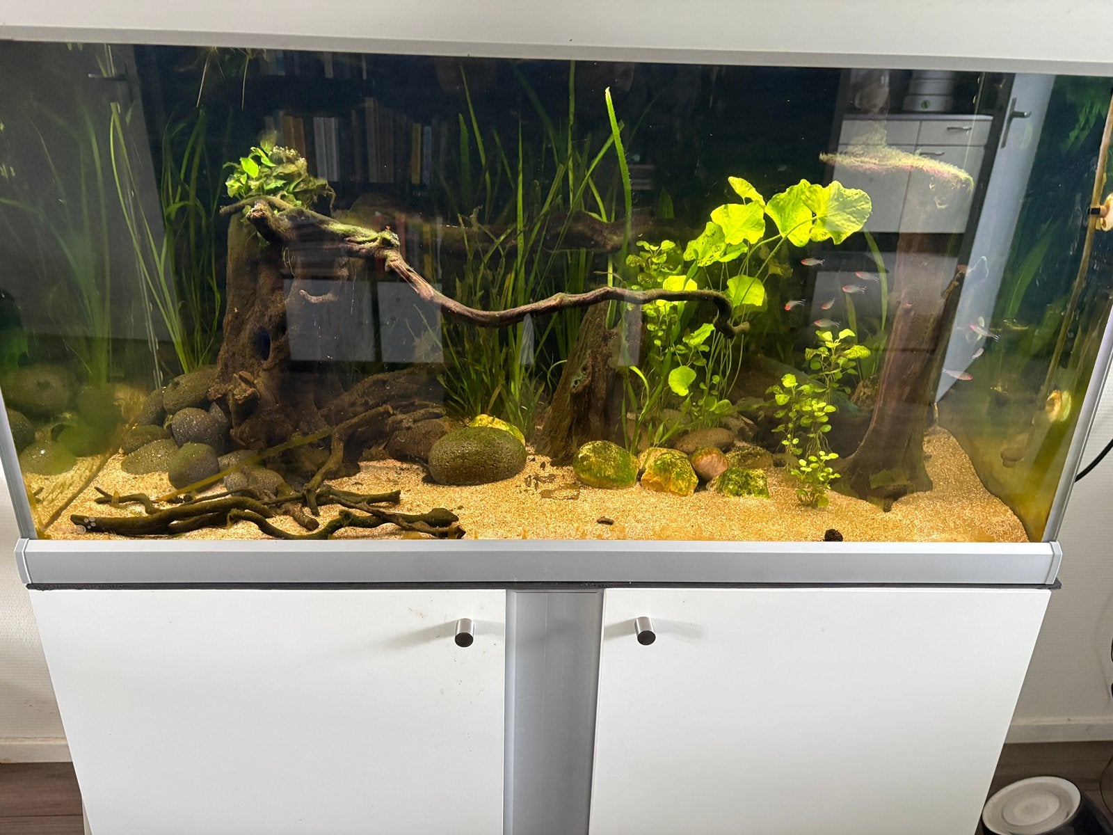 Aquarium, Gebruikt, Aquariummeubel, Overige merken, Ophalen of Verzenden