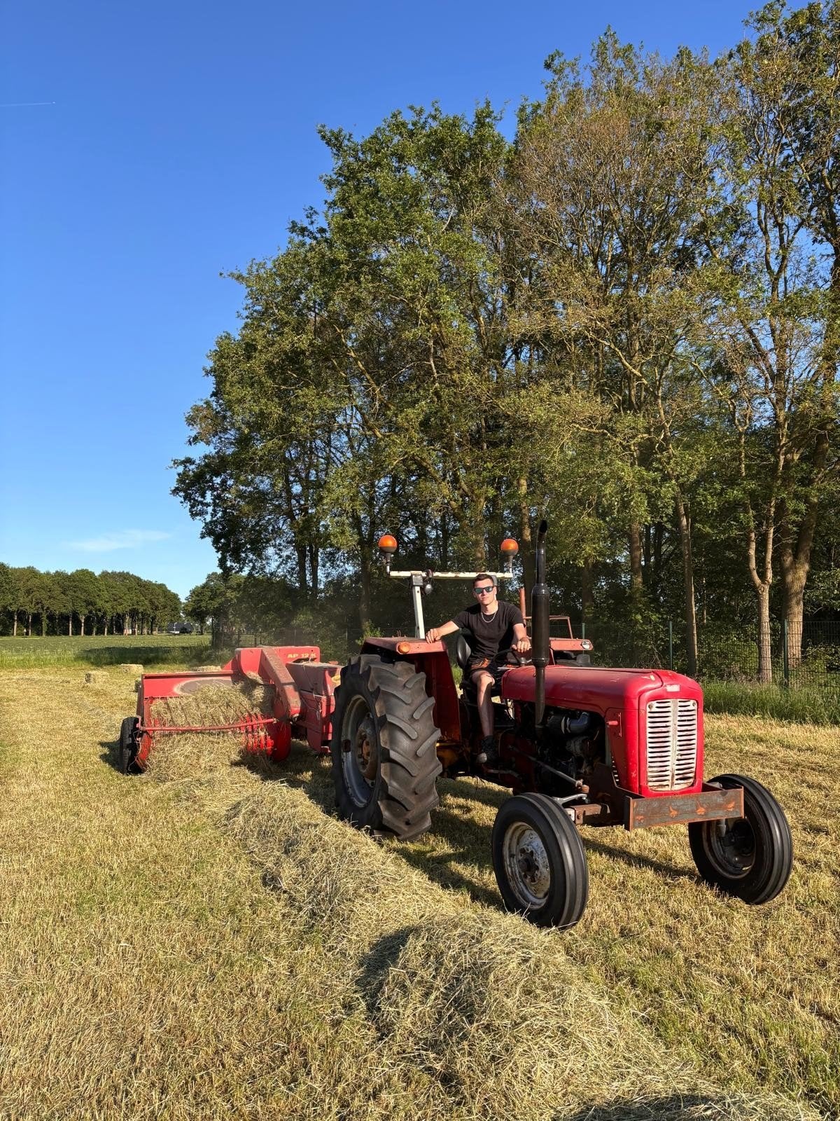 Kruidenrijk hooi geschikt voor paarden - kleine baaltjes, Ophalen