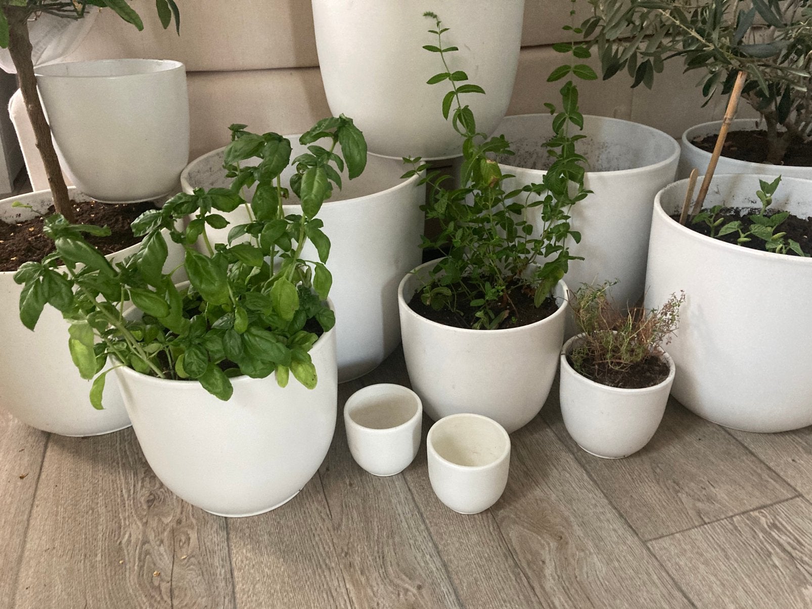 Diverse potten, Tuin en Terras, Bloempotten, Rond, Ophalen of Verzenden, Zo goed als nieuw, Aardewerk
