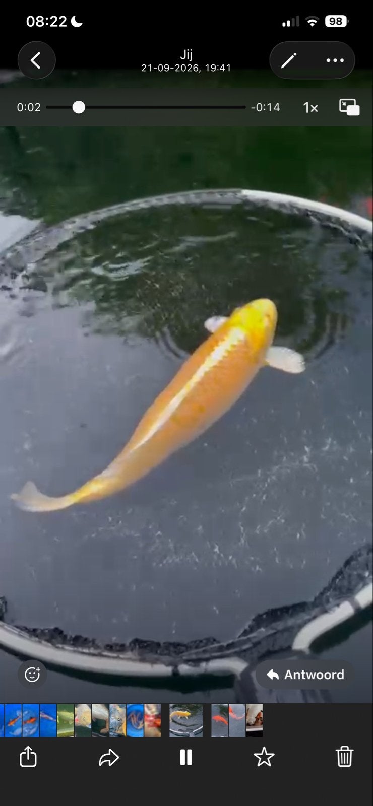 Yamabuki koi, Dieren en Toebehoren