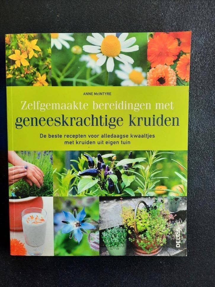 Zelfgemaakte bereidingen met geneeskrachtige kruiden, Ophalen of Verzenden, Zo goed als nieuw, Kruiden en Alternatief, Anne McIntyre