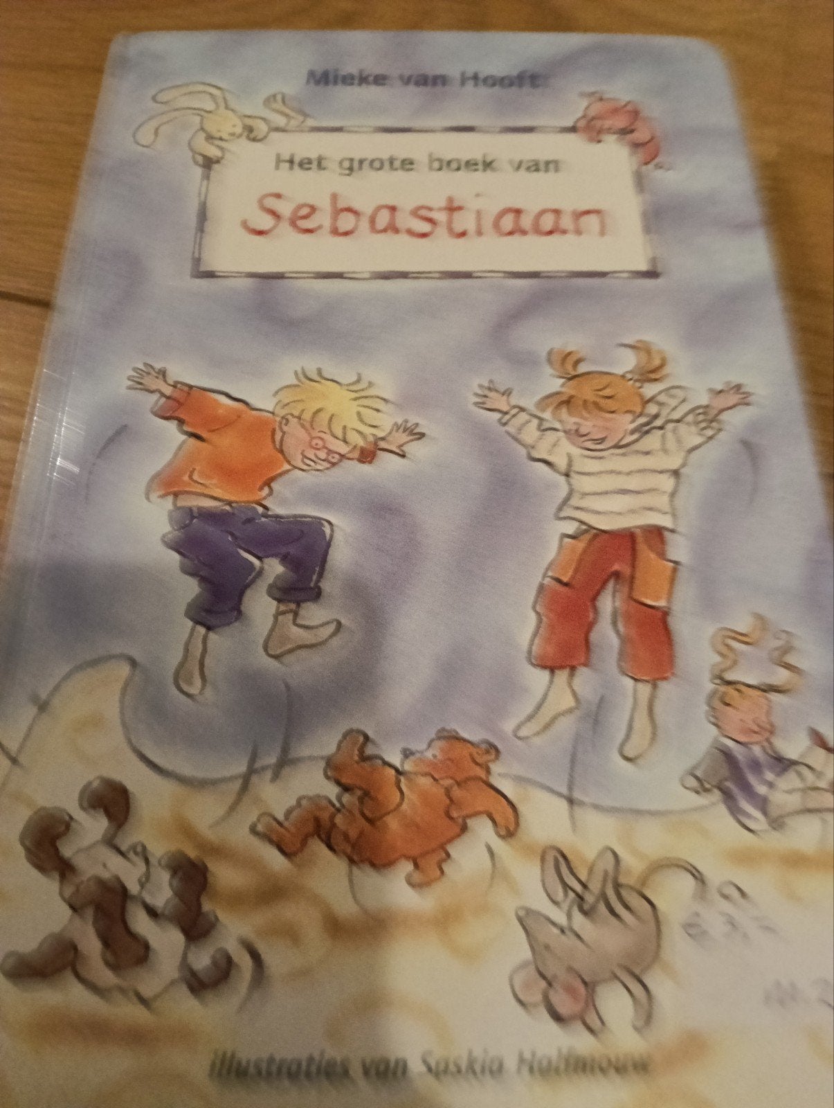 Mieke van Hooft - Het grote boek van Sebastiaan, Fictie algemeen, Mieke van Hooft, Ophalen of Verzenden, Zo goed als nieuw