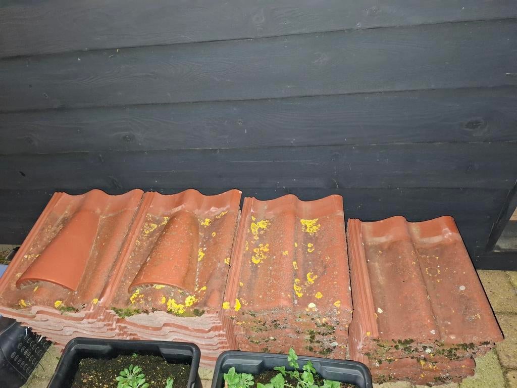 Dakpannen gratis, Ophalen, Steen of Klei, 15 m² of meer, Dakpannen