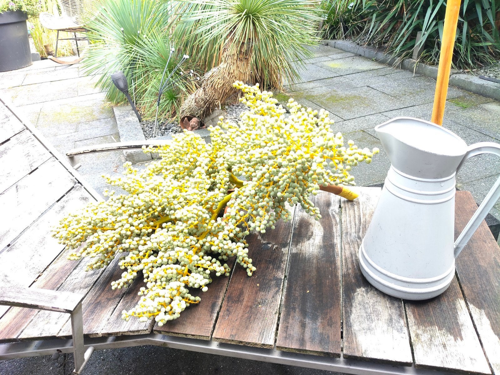 Decoratieve Palm Bloesem Tak - Uniek en Vers, Tuin en Terras, Overige soorten, Volle zon, Vaste plant, Ophalen of Verzenden