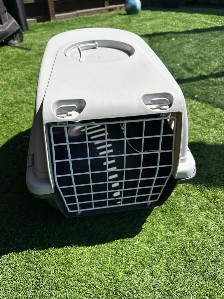 kattenreismand, Dieren en Toebehoren, Ophalen